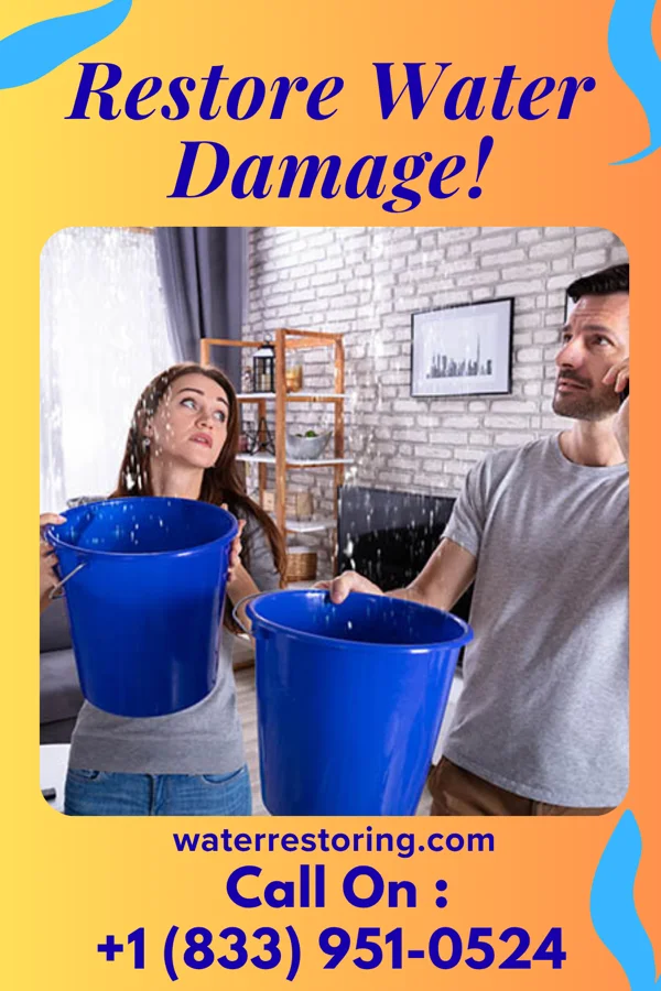 water restoration Peak Water Removal Solutions Sandstone