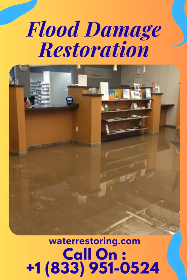 Flood Damage Restoration in Sandstone, MN